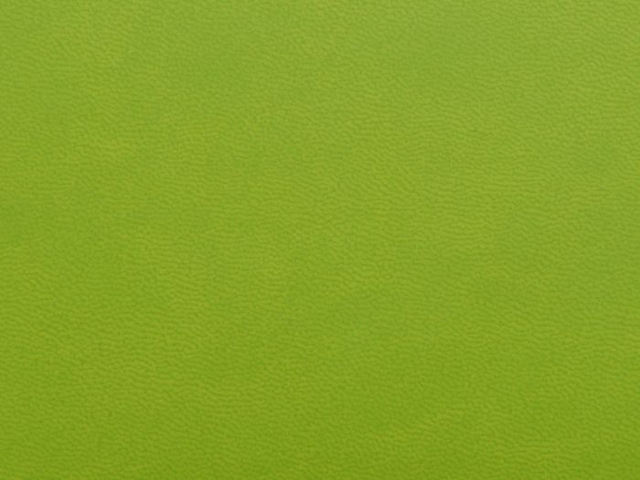 фото Блокнот "Riner", зеленое яблоко