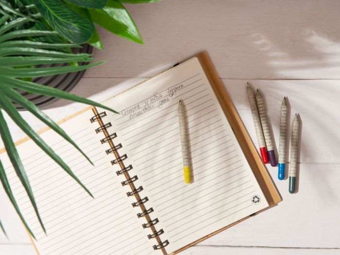 фото «Растущий карандаш» mini с семенами базилика