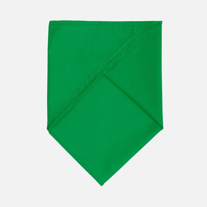 фото Шейный платок Bandana, ярко-зеленый